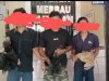 Polsek Merbau Mataram Ringkus Tiga Pelaku Curat