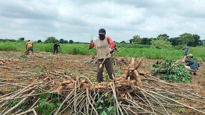 DPRD Lampung Gelar Paripurna Hasil Pansus Tata Niaga Singkong pada 7 Maret 2025