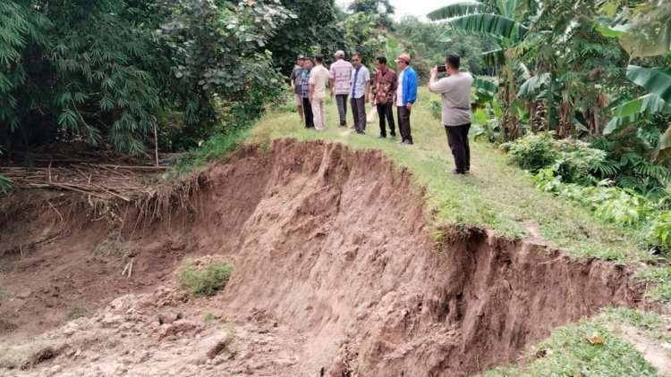 Anggota DPRD Hamdani Dampingi Pemkab Lamsel Meninjau Tanggul Sungai yang Nyaris Jebol