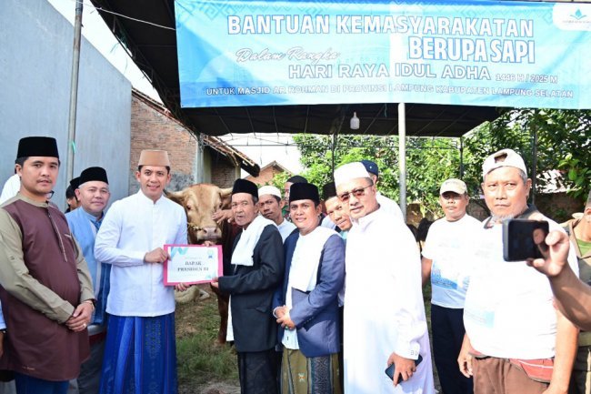 Dari Istana untuk Rakyat, Bupati Egi Salurkan Bantuan Sapi Kurban Presiden