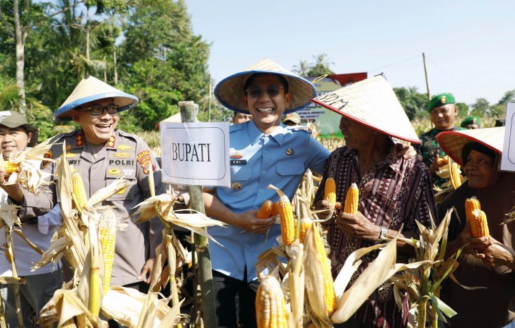 Gelar Panen Raya, Pemkab Lampung Selatan Dukung Swasembada Jagung Nasional